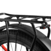 Zen Samurai Premium Ebike Carrier View