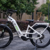 Zen Photon Long Range Electric Bike starlight white