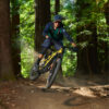 Yamaha bicycles ydx moro riding fast through woods