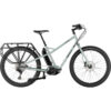 surly skid loader complete bike