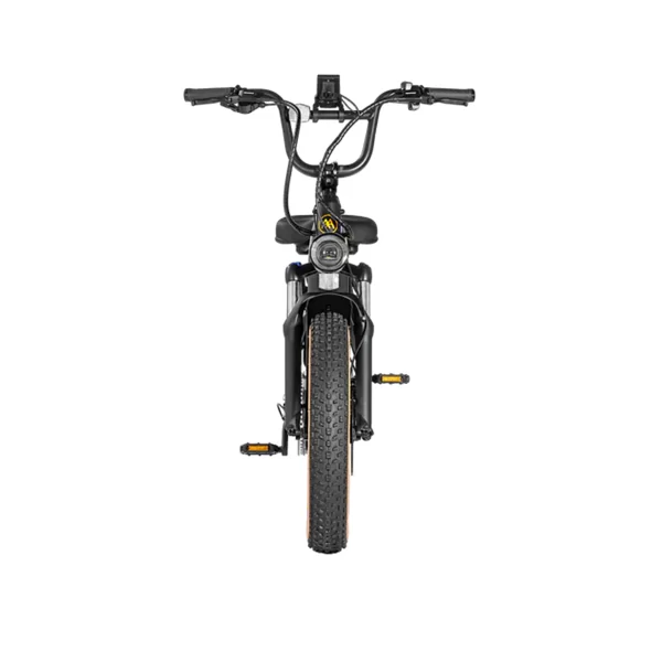 AIMA Big Sur Ebike Black Matte Front View