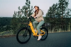 Velotric Discover 1 versitle ebike Image