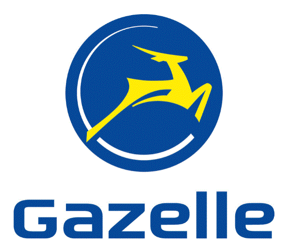 Gazelle - Ebikes at Chattanooga E Bikes